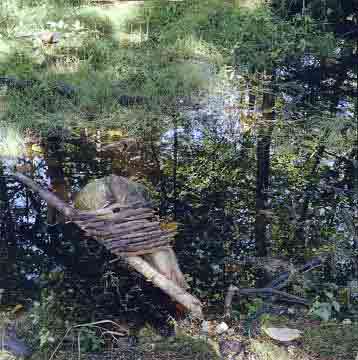 Hammock over swampy area?