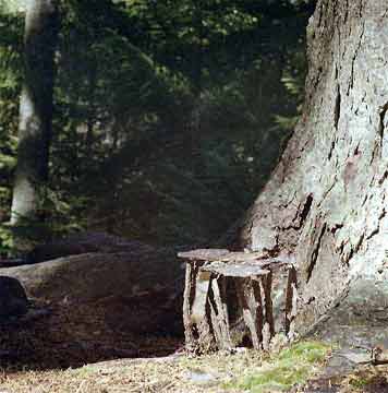 One room for one tall thin Fairy?-with a Sunning Deck