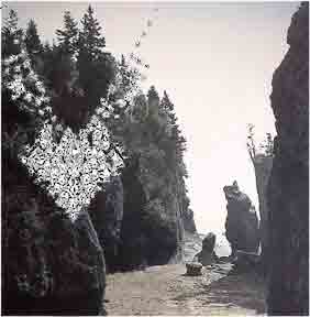 ROCKS IN NOVA SCOTIA LOOKED LIKE BEINGS FROM OUTER SPACE