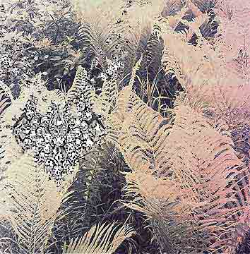 FERNS TONED WITH GOLD GIVING THEM A PINK TONE